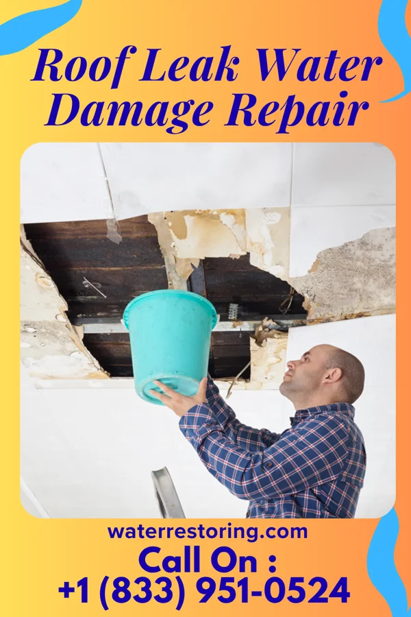 Roof Leak Water Damage Repair in Davis, OK